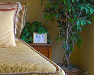 Bild zu Vorsicht: Zimmerpflanzen wirklich ins Schlafzimmer bzw. am Bett aufstellen? 