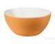 ASA Selection »Grande Colore« Schale