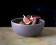 ASA Selection »Pokè« Bowl