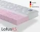 Badenia »Irisette Lotus« Komfortschaum-Matratzen