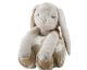 Biederlack Kinderdecke Kids Dream