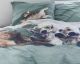 Covers & Co Renforce Bettwäsche Lazy Dogs Sea Green Artikelbild 1