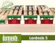 Dormiente »Lordosis« S Lattenrost