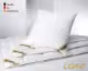 Dunlopillo »Luxus Line« Daunendecken