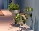 Dutchbone »Botanique« Blumenständer