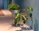 Dutchbone »Botanique« Blumenständer