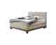 Hasena Pronto Boxspringbett Finca