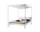 Hasena »Velino« Himmelbett