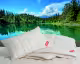 Hefel »Bio-Wool« Decke