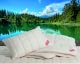 Hefel »Bio-Wool« Kissen