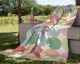 Ibena »Solare Cotton Pur« Wohndecken Plaid 2026 Fb. 100