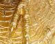 Kare Design »Animal Toucan Gold« Tischleuchte