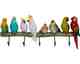 Kare Design »Exotic Birds« Wandgarderobe