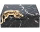 Kare Design »Marble Leo« Box Artikelbild 6