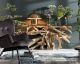 Kare Design »Mushroom« Tischleuchte