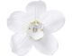 Kare Design »Orchid« Wandschmuck