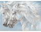 La Casa »2 Pferde in weiss« Ölbild handbemalt 90x120 cm Artikelbild 1