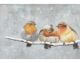 La Casa »3 Vögel auf Ast im Winter« Ölbild handbemalt Artikelbild 1