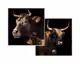 La Casa »Bulls« Wandbild 2er-Set