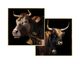 La Casa »Bulls« Wandbild 2er-Set