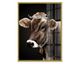 La Casa »Cow Portrait« Glasbild 90x120 cm