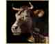 La Casa »Cow with golden decor« Wandbild 100x100 cm