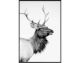 La Casa »Deer black and white« Wandbild I 60x90 cm