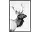 La Casa »Deer black and white« Wandbild I 60x90 cm