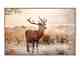 La Casa »Deer in Landscape« Wandbild 120x80 cm