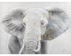 La Casa »Elefant« Ölbild handbemalt Artikelbild 6