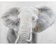 La Casa »Elefant« Ölbild handbemalt