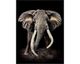 La Casa »Elephant« Wandbild 90x120 cm