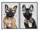 La Casa »Glamorous dogs« Glasbilder 40x60 cm 2er-Set