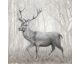La Casa »Hirsch im Wald schwarz/weiß/braun« Ölbild 100x100 cm