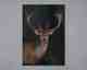 La Casa »Hirsch mit dunklem Hintergrund« Ölbild handbemalt 70x100 cm