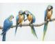 La Casa »Papagaien auf Ast II« Ölbild handbemalt Artikelbild 1