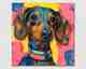 La Casa »Pop Art Dackel« Ölbild 60x60 cm