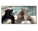 La Casa »Puma and Gepard in the pool« Glasbild 160x80 cm