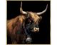 La Casa »bull with golden decor« Wandbild 100x100 cm
