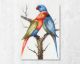 La Casa Ölbild handbemalt "2 Papageien" rot-blau Mix 70x100 cm Artikelbild 1