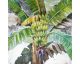 La Casa Ölbild handbemalt "Bananenpflanze mit Staude" 120x120 cm Artikelbild 1