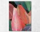 La Casa Ölbild handbemalt "Blätter" rosa Mix 90x120 cm Artikelbild 1