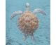 La Casa Ölbild handbemalt "Schildkröte in braun" 100x100 cm Artikelbild 1