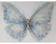 La Casa Ölbild handbemalt "Schmetterling in blau" 120x90 cm Artikelbild 1