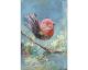 La Casa Ölbild handbemalt "Vogel auf Ast II" 40x60 cm Artikelbild 1