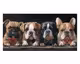 La Casa »vier Hunde« Wandbild 60x120 cm