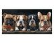 La Casa »vier Hunde« Wandbild 60x120 cm