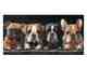 La Casa »vier Hunde« Wandbild 60x120 cm