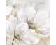 La Casa »weiße Blumen« Ölbild handbemalt