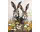 La Casa »zwei Hasen in Blumenwiese« Wandbild 60x80 cm